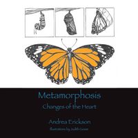 Produktbild: Metamorphosis