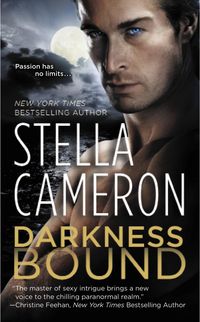Produktbild: Darkness Bound