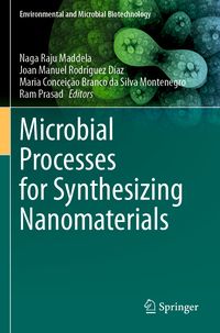 Produktbild: Microbial Processes for Synthesizing Nanomaterials
