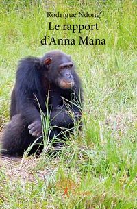 Produktbild: Le rapport d anna mana