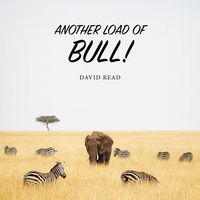 Produktbild: Another Load of Bull