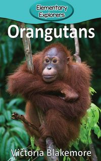 Produktbild: Orangutans