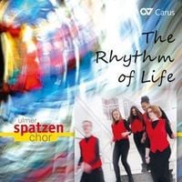 Produktbild: The Rhythm of Life