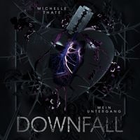 Produktbild: Downfall