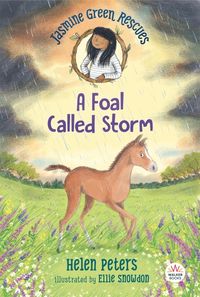Produktbild: Jasmine Green Rescues: A Foal Called Storm