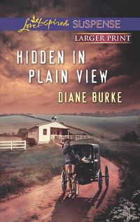 Produktbild: Hidden in Plain View