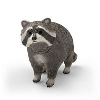 Produktbild: schleich&reg; 14937 Waschb&auml;r