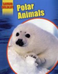 Produktbild: Polar Animals