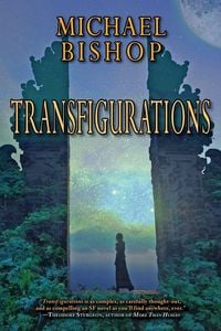Produktbild: Transfigurations