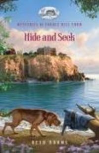 Produktbild: Hide and Seek