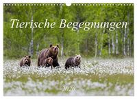 Produktbild: Tierische Begegnungen (Wandkalender 2026 DIN A3 quer), CALVENDO Monatskalender