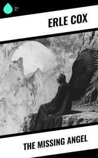 Produktbild: The Missing Angel