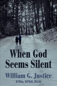 Produktbild: When God Seems Silent