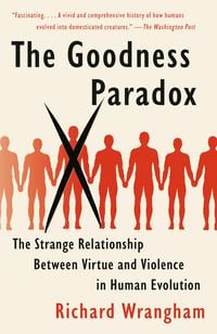Produktbild: The Goodness Paradox