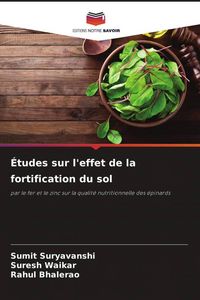 Produktbild: &Eacute;tudes sur l'effet de la fortification du sol