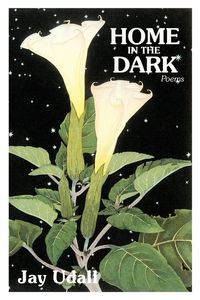Produktbild: Home in the Dark