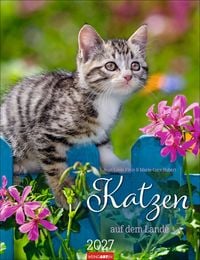 Produktbild: Katzen auf dem Lande Kalender 2027