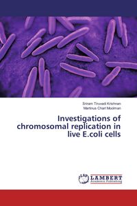 Produktbild: Investigations of chromosomal replication in live E.coli cells