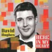 Produktbild: Hughes, D: David Hughes-Here In My Heart