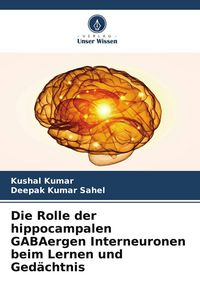 Produktbild: Die Rolle der hippocampalen GABAergen Interneuronen beim Lernen und Ged&auml;chtnis
