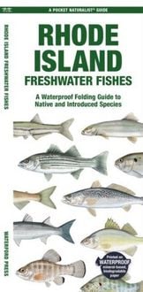 Produktbild: Rhode Island Freshwater Fishes