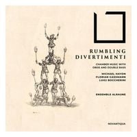 Produktbild: Rumbling Divertimenti-Kammermusik