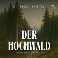 Produktbild: Der Hochwald - H&ouml;rbuch Klassiker