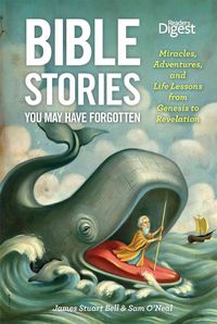 Produktbild: Bible Stories You May Have For