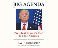 Produktbild: BIG AGENDA                  4D