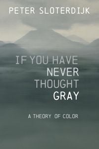 Produktbild: If You Have Never Thought Gray