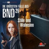 Produktbild: Stille und Wahnsinn