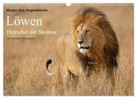 Produktbild: Magie des Augenblicks - L&ouml;wen - Herrscher der Savanne (Wandkalender 2026 DIN A3 quer), CALVENDO Monatskalender