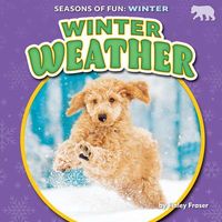 Produktbild: Winter Weather