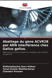 Produktbild: Abattage du g&egrave;ne ACVR2B par ARN interf&eacute;rence chez Gallus gallus.