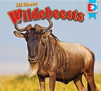 Produktbild: All about Wildebeests