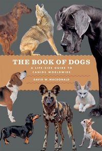 Produktbild: The Book of Dogs