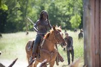 The Walking Dead - Staffel 4 - Uncut [5 BRs]