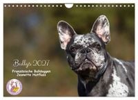 Produktbild: Bullys - Franz&ouml;sische Bulldoggen 2027 (Wandkalender 2027 DIN A4 quer), CALVENDO Monatskalender