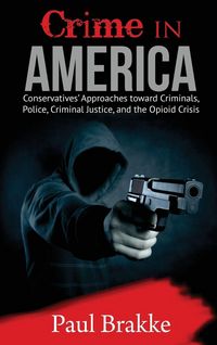 Produktbild: Crime in America