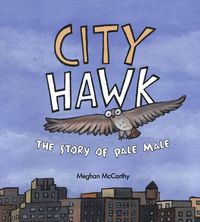 Produktbild: City Hawk