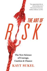 Produktbild: Art Of Risk