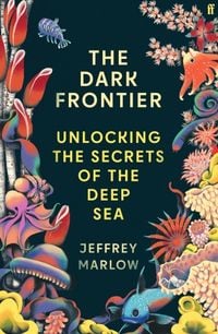 Produktbild: The Dark Frontier