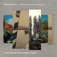 Produktbild: Variations on a Melancholy Theme