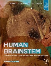 Produktbild: Human Brainstem