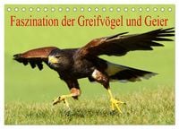Produktbild: Faszination der Greifv&ouml;gel und Geier (Tischkalender 2026 DIN A5 quer), CALVENDO Monatskalender