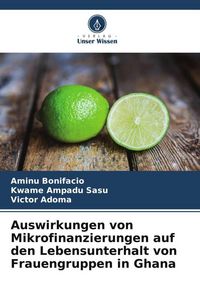 Produktbild: Auswirkungen von Mikrofinanzierungen auf den Lebensunterhalt von Frauengruppen in Ghana