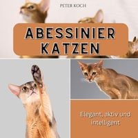 Produktbild: Abessinierkatzen