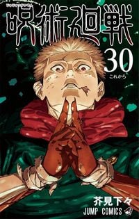 Produktbild: Jujutsu Kaisen, Vol. 30