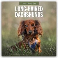 Produktbild: Long-Haired Dachshunds &ndash; Langhaardackel 2027 &ndash; 16-Monatskalender