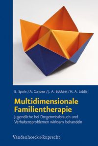 Produktbild: Multidimensionale Familientherapie